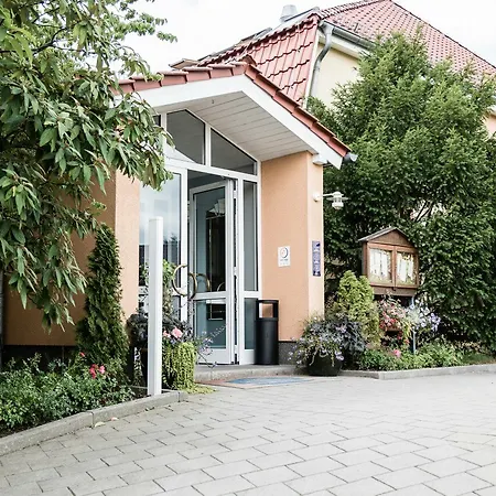 Western Regina Elena 4*